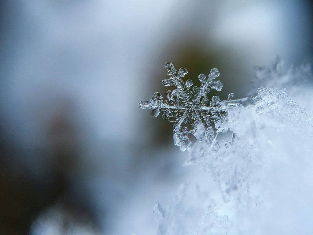 Discovering Winter Wonder in the Finger Lakes